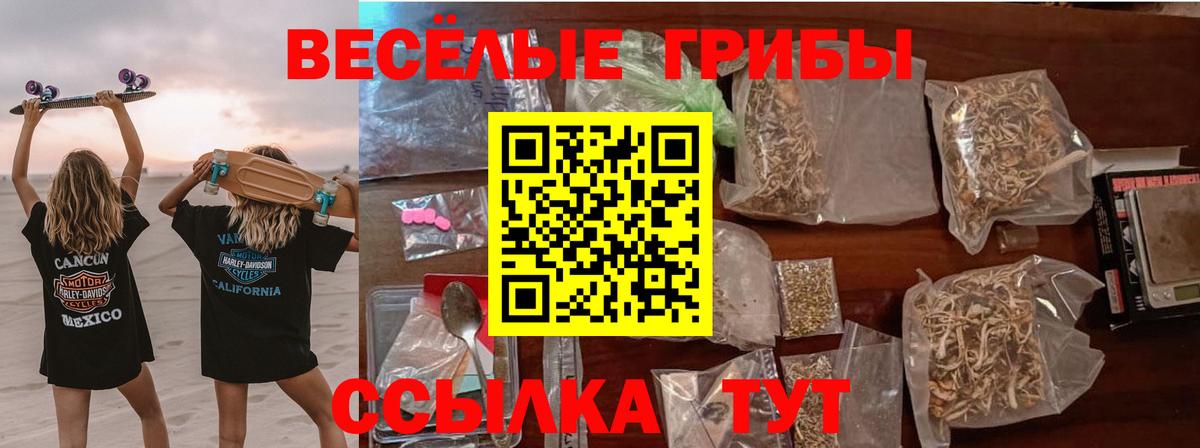Псилоцибиновые грибы Cubensis Среднеуральск